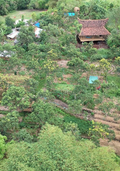 top wide view of Jiwa Community Garden