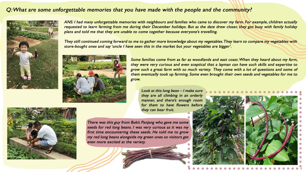 Photo-journal entry of a kampong farm at Mugliston