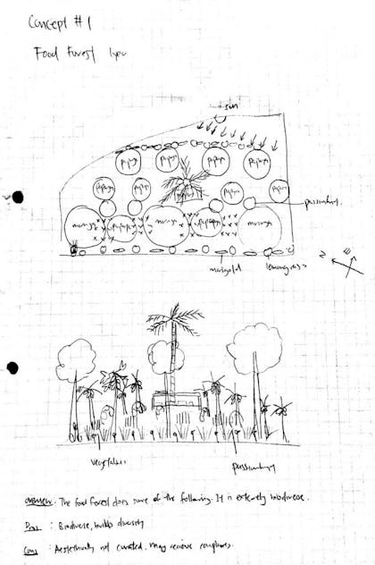 Foor forest concept sketch of Chris' guerilla garden