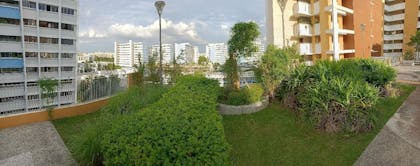 panoramic shot of rooftop garden with HDB flat in the background
