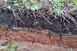 Photo of different layers of topsoil