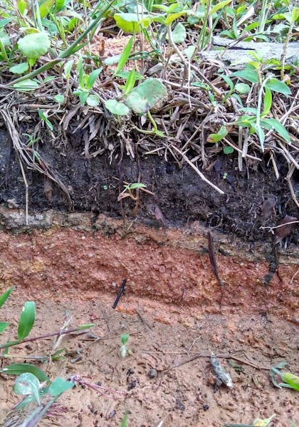 Photo of different layers of topsoil