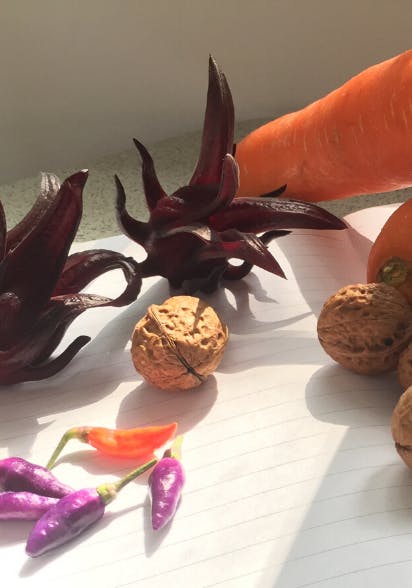 An array of edibles (roselle, carrots, purple chilli, walnuts and ladies finger) on top of a notebook