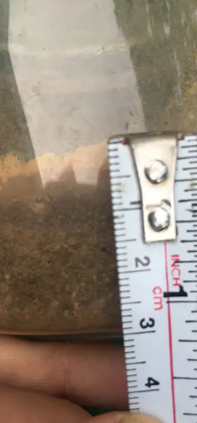 Soil texture being sampled in mason jar