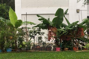 Photo of a garden next to a HDB block