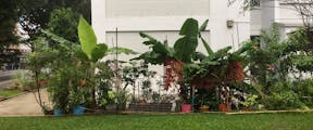 Photo of a garden next to a HDB block