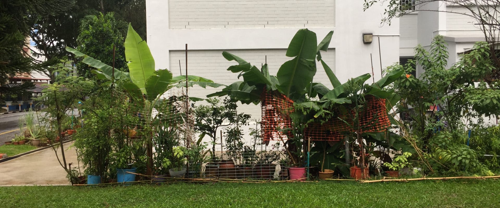 Photo of a garden next to a HDB block