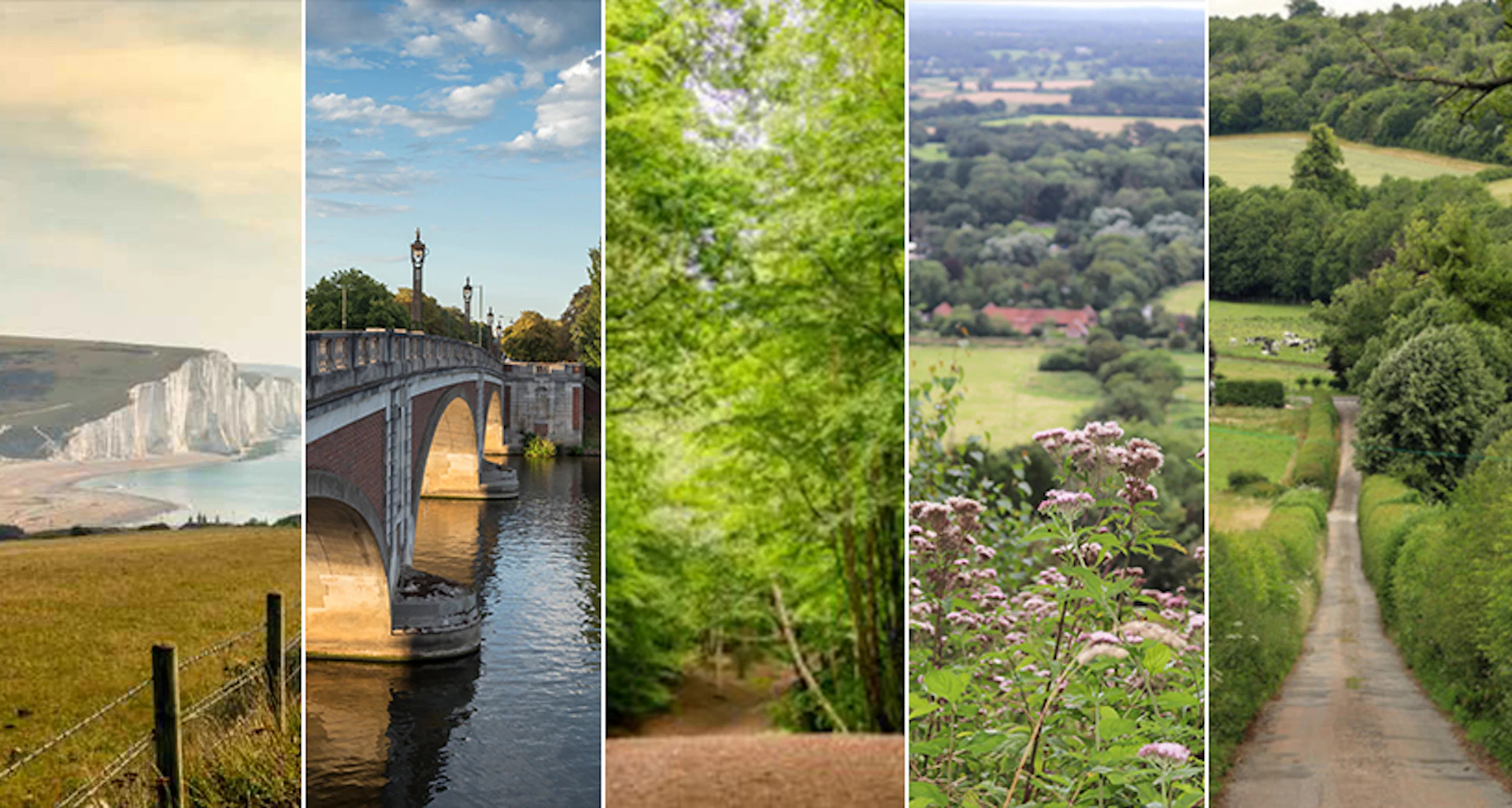 Walks-near-london