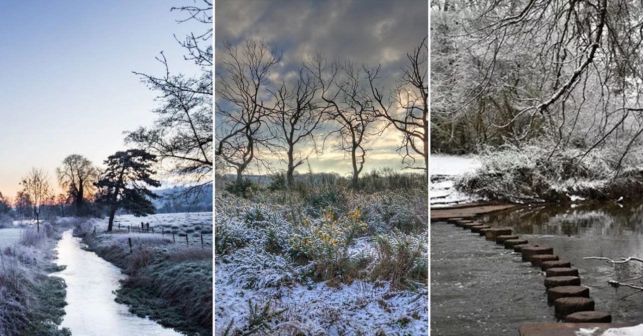 winter-hikes-banner1200x628