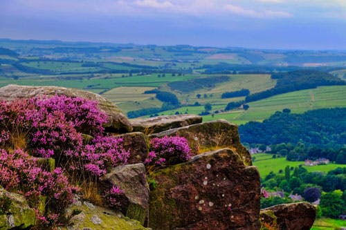 Stanage Edge