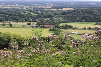 Box Hill