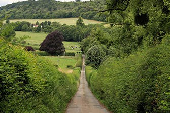 The Chiltern Hills