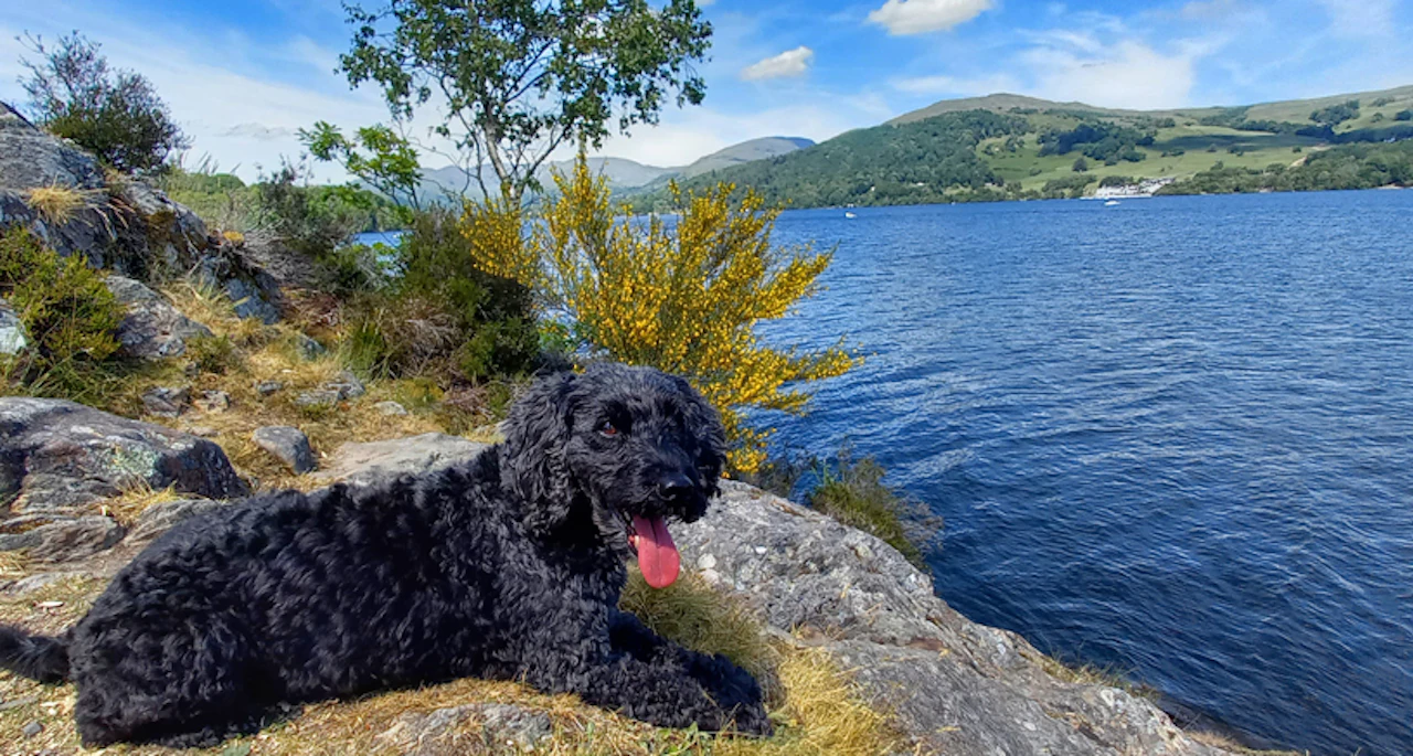 hill-walking-orthotic-comfort