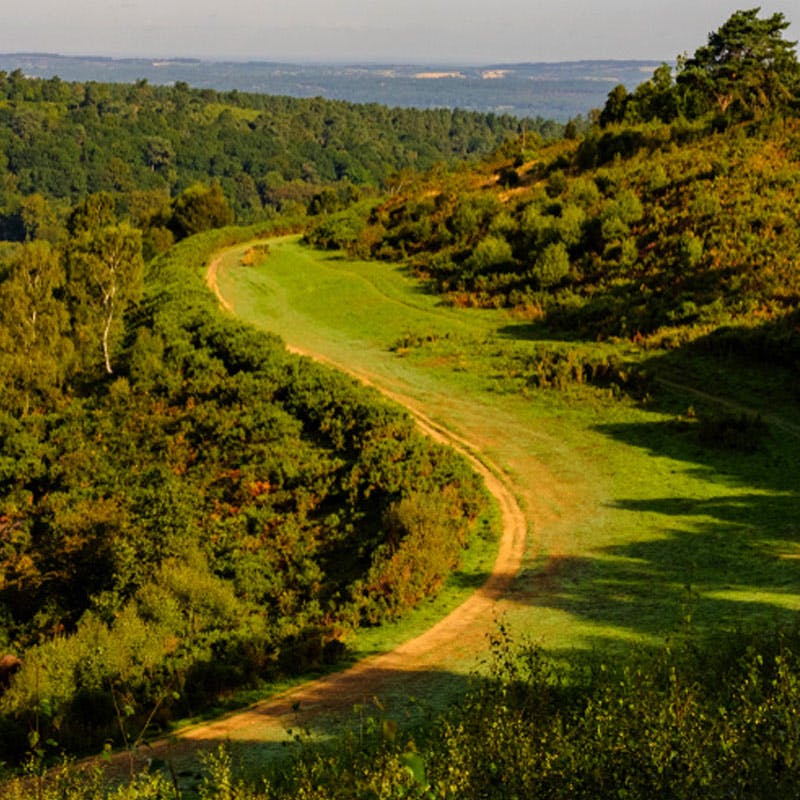Devil's punch bowl Surrey Hills Walkgin