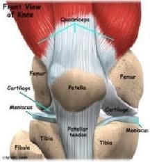 knee pain
