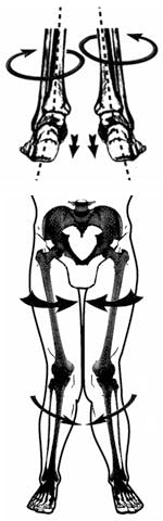 hyperpronation12
