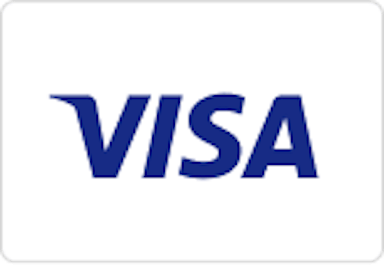 Visa Logo