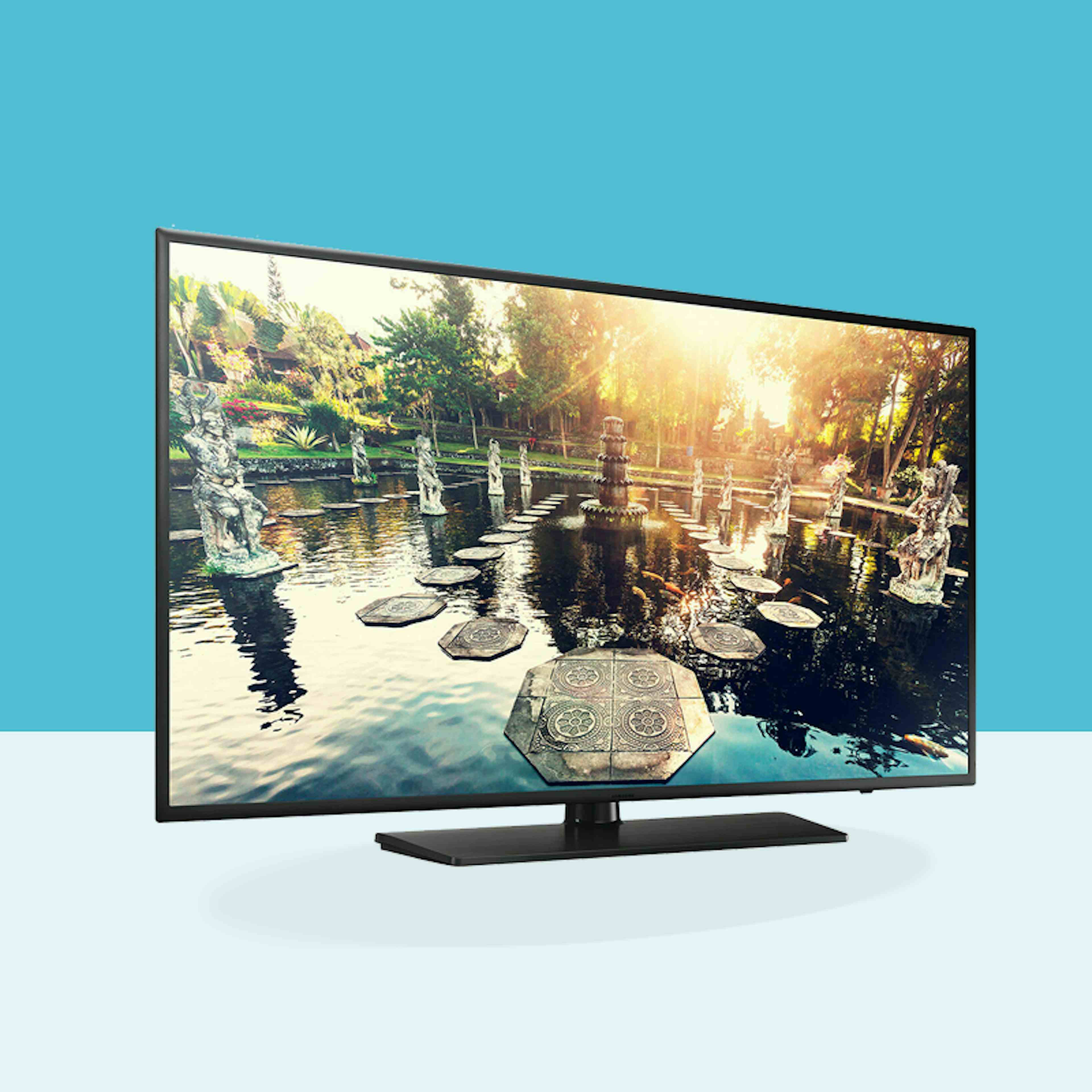 Samsung HG55EE690  Commercial Hospitality TV