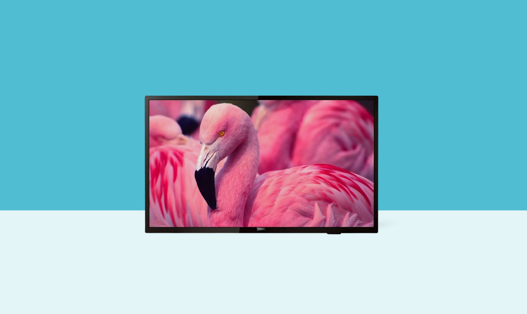 Philips 43 Inch Commercial Hospitality TV 43HFL4014