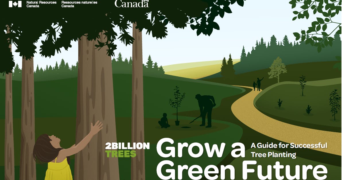 Girl looking up a tree