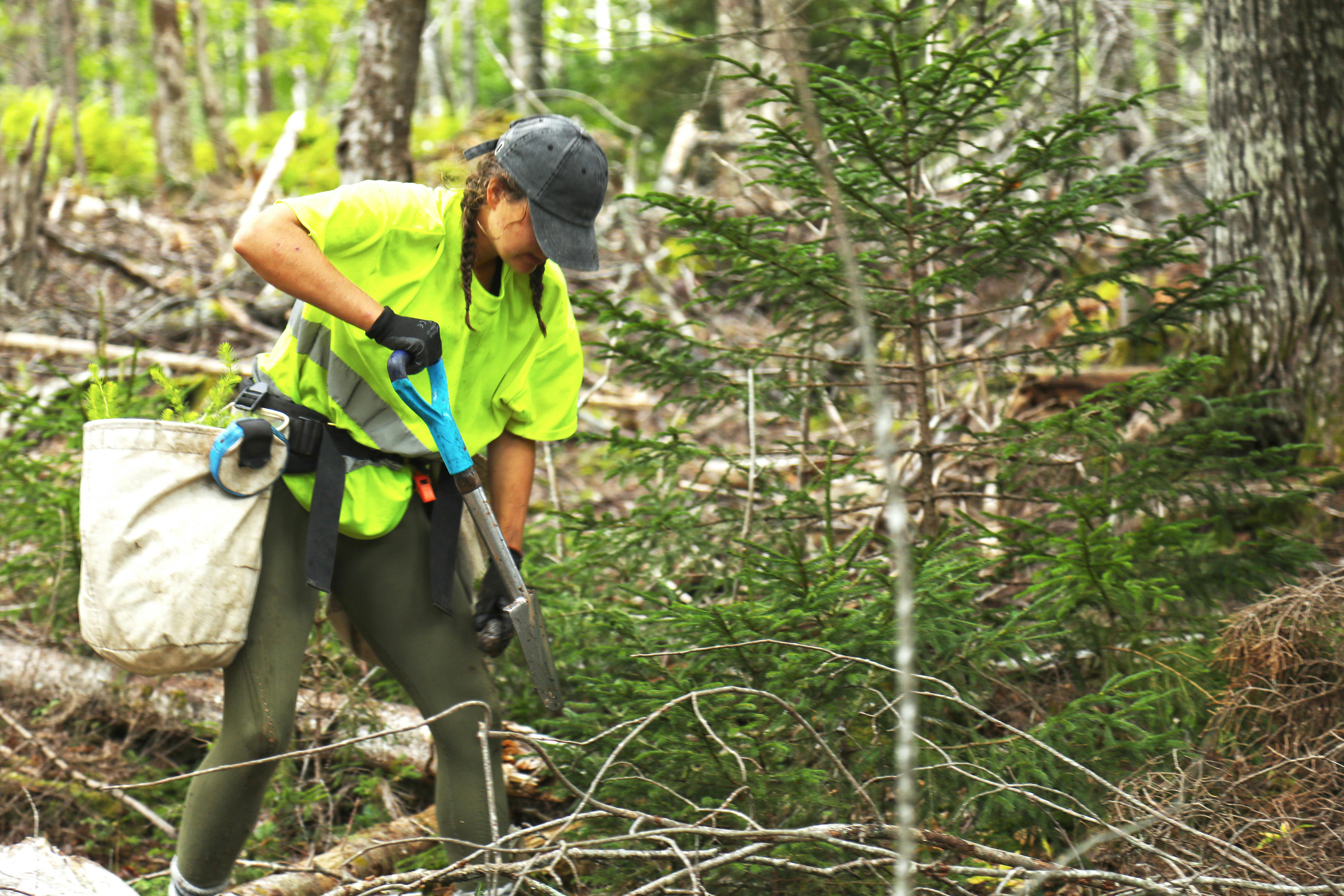 Woman in neon yellow t-shirt planting a tree