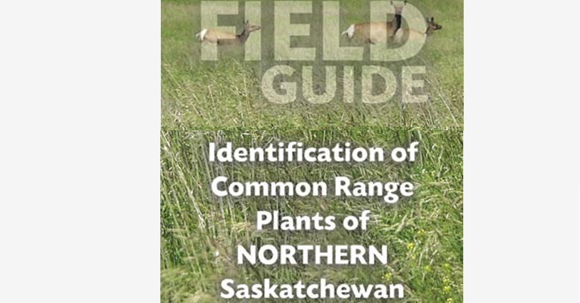 Common Range North Sask