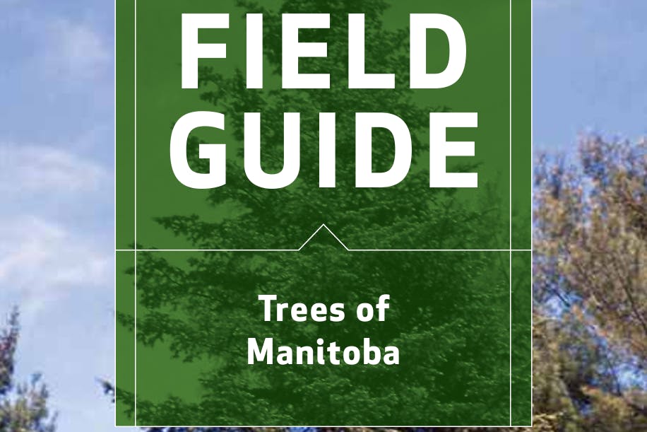 Trees of Manitoba