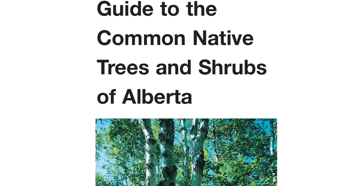 Guide to the Common Native