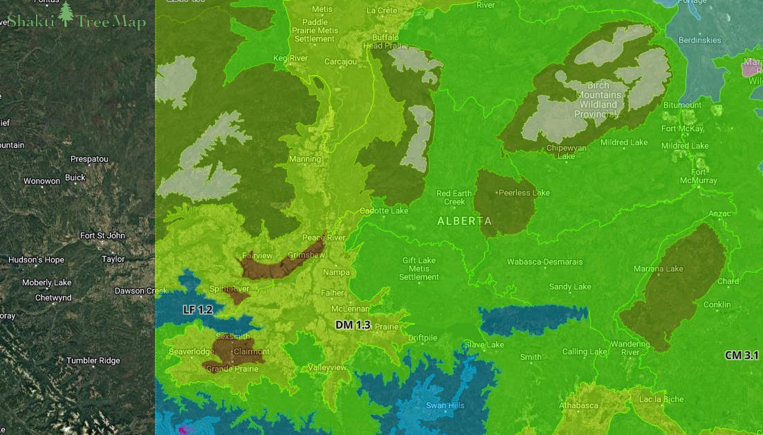 Shakti tree map