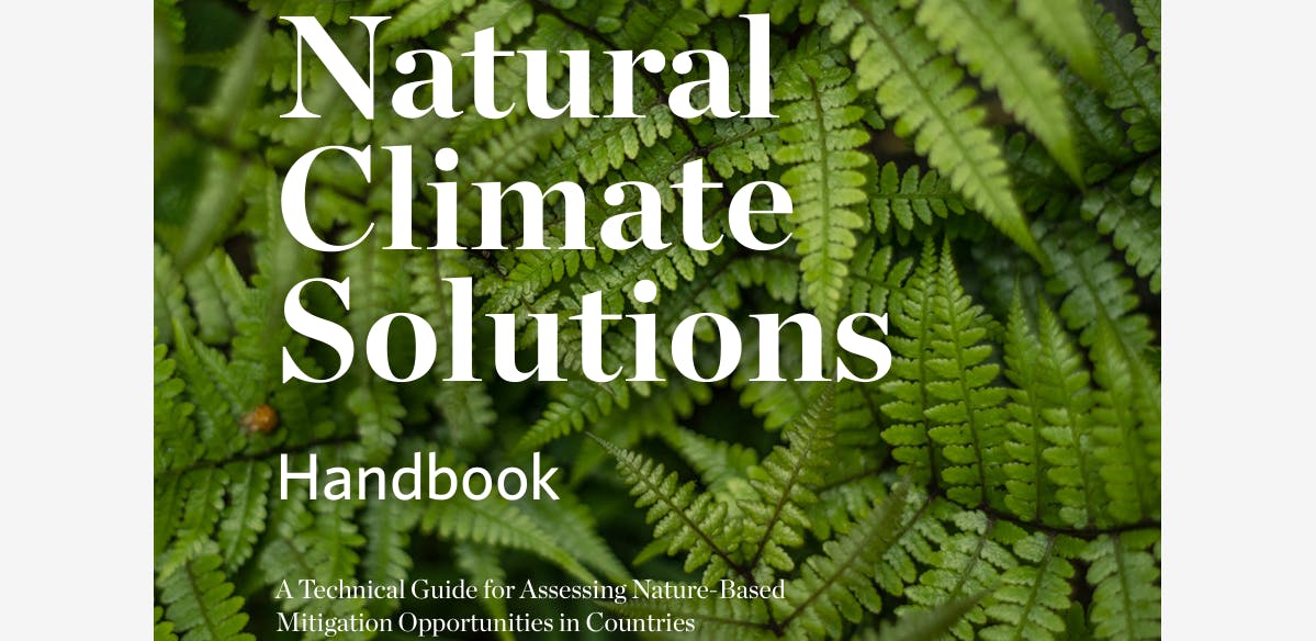 Natural Climate Solutions