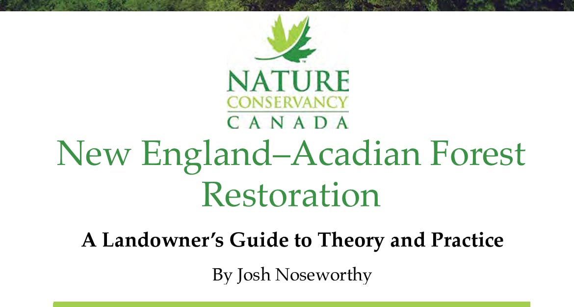 New England-Acadian Forest Restoration
