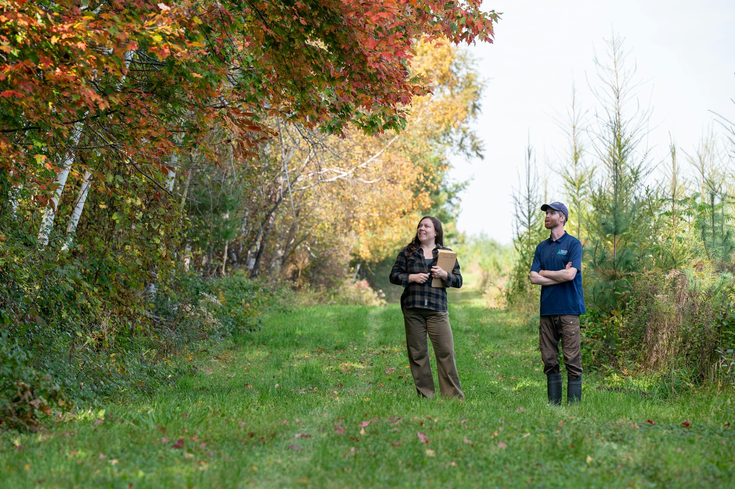 Two people standing on a grassy path along a forest looking up into the trees