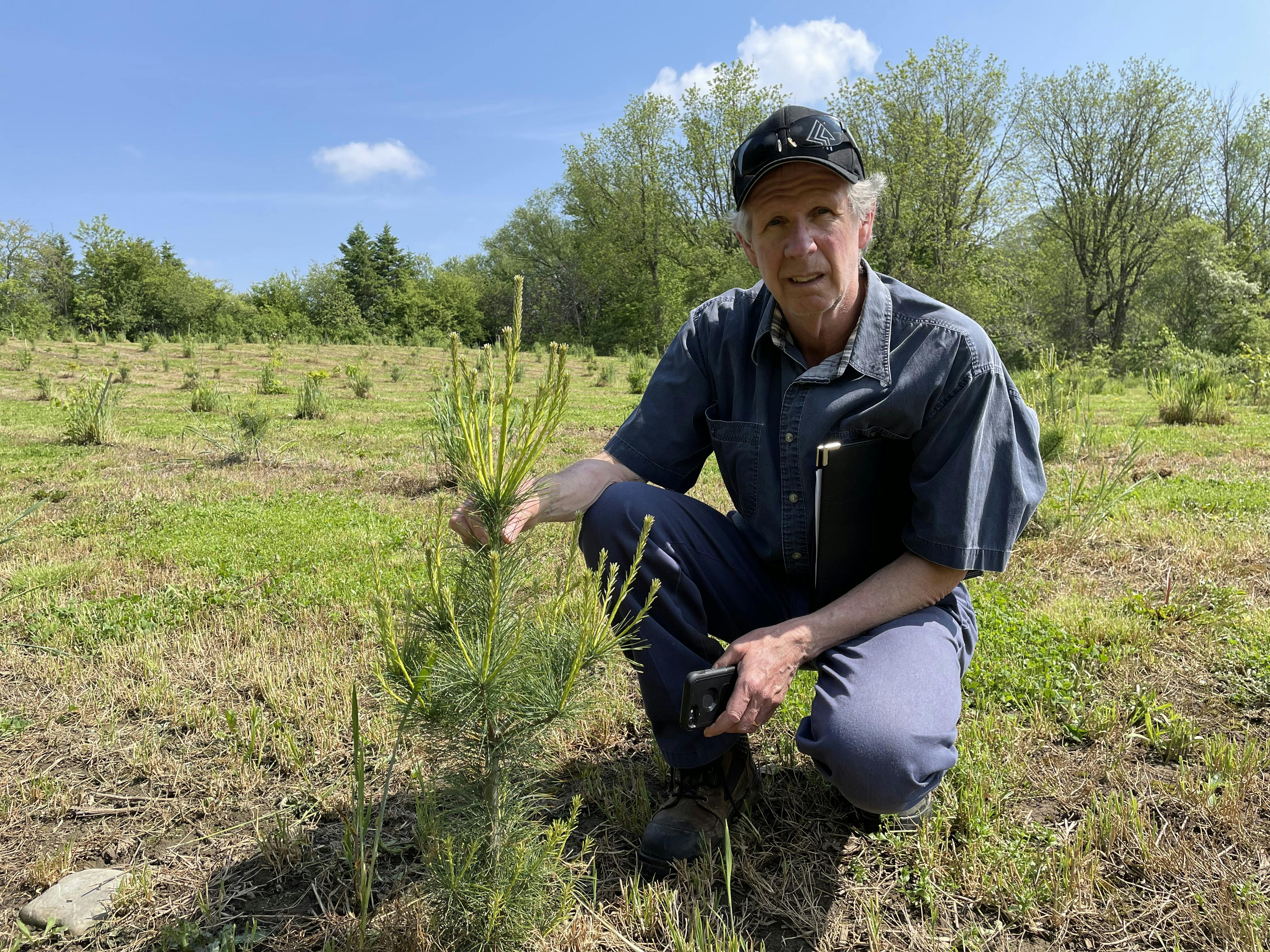 Un planteur pose à côté d’un arbre fraîchement planté.