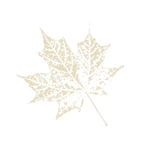 Brown leaf