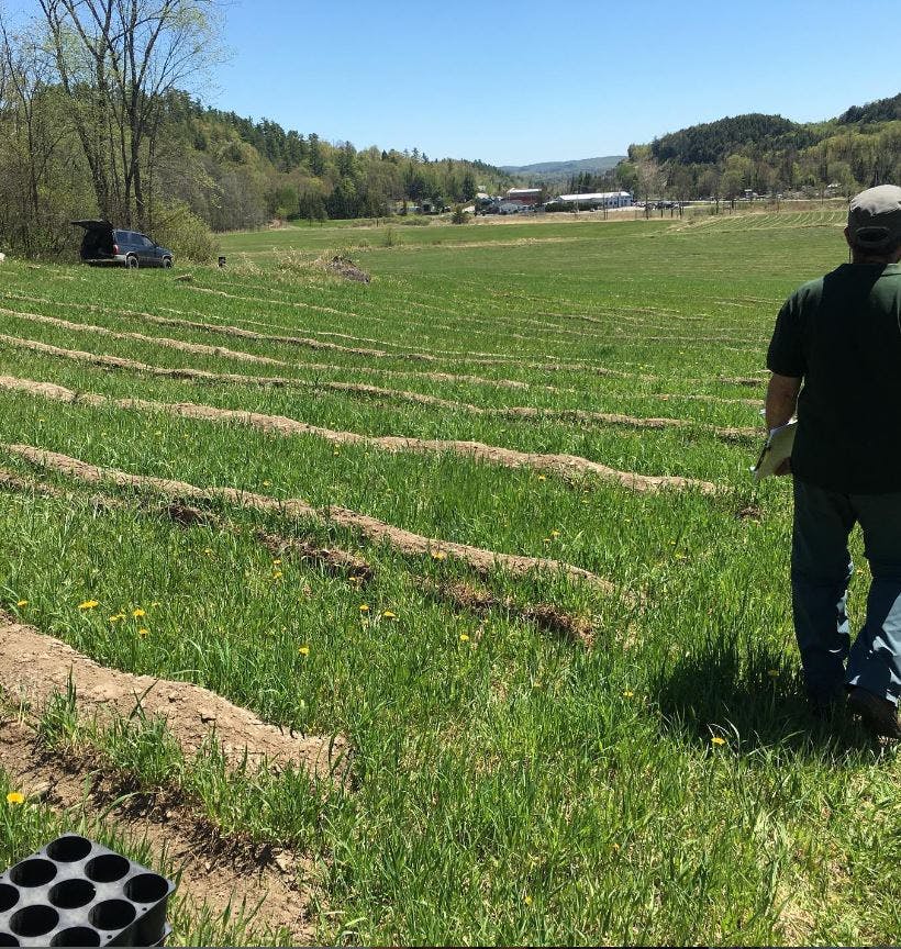 Man walking in open field