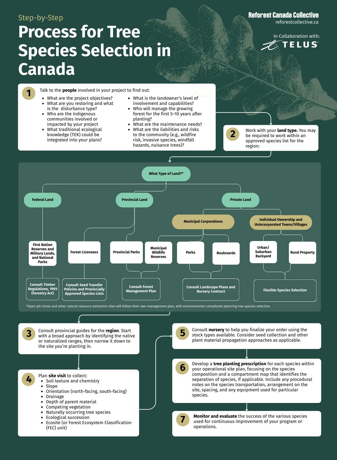 Flowchart for the process of tree species selection in Canada