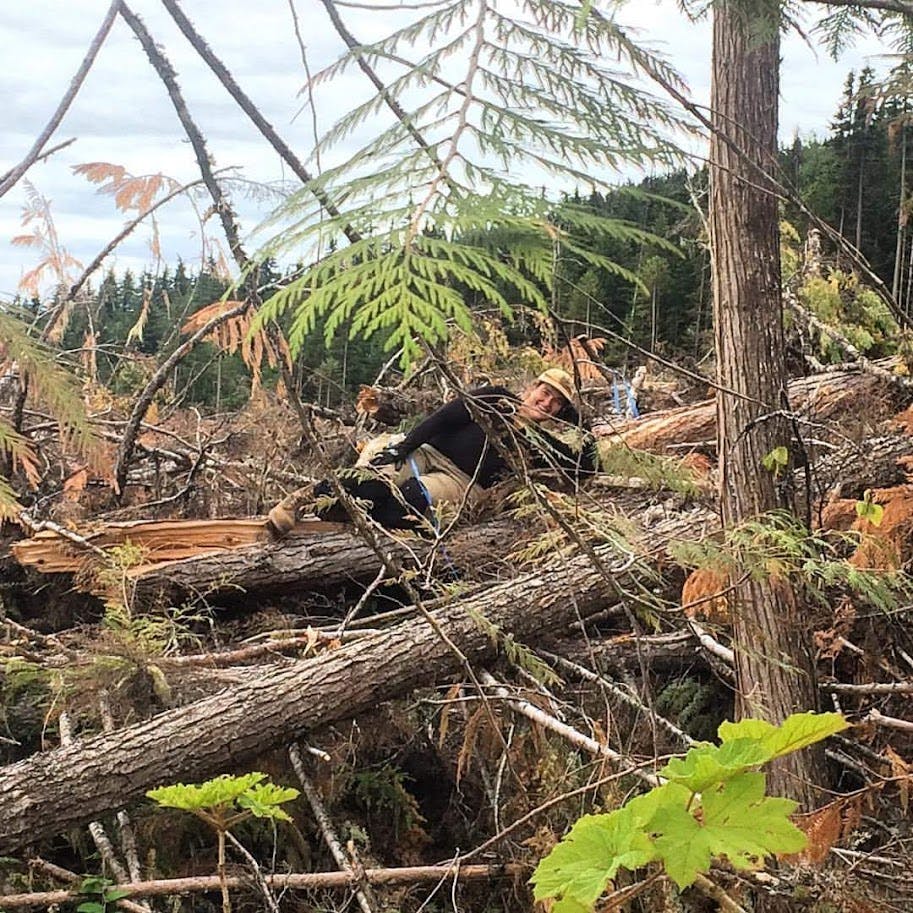 Woman lying on slash pile in a cutblock