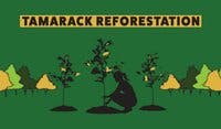 Tamarack logo