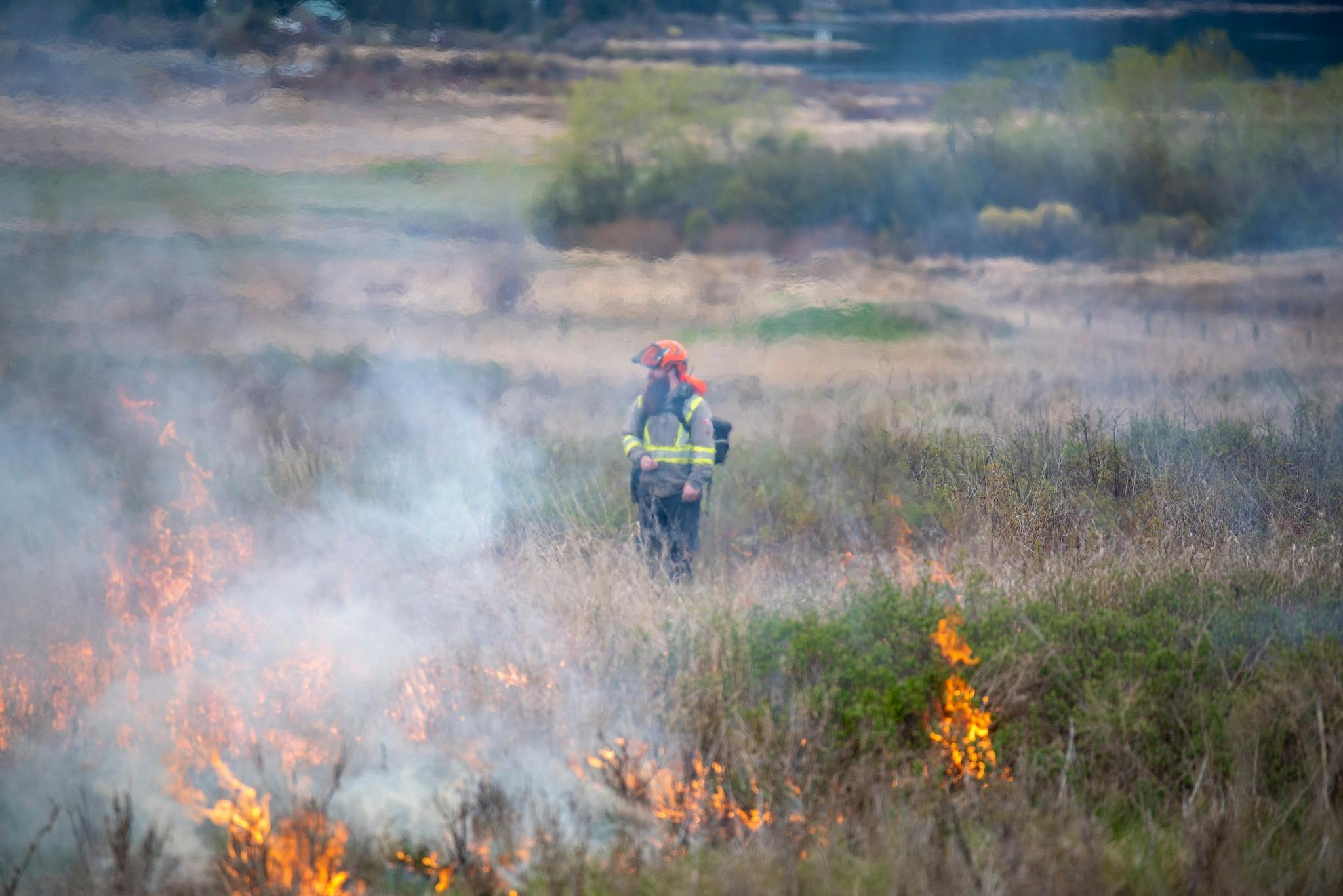 Man standing in a field for cultural burn