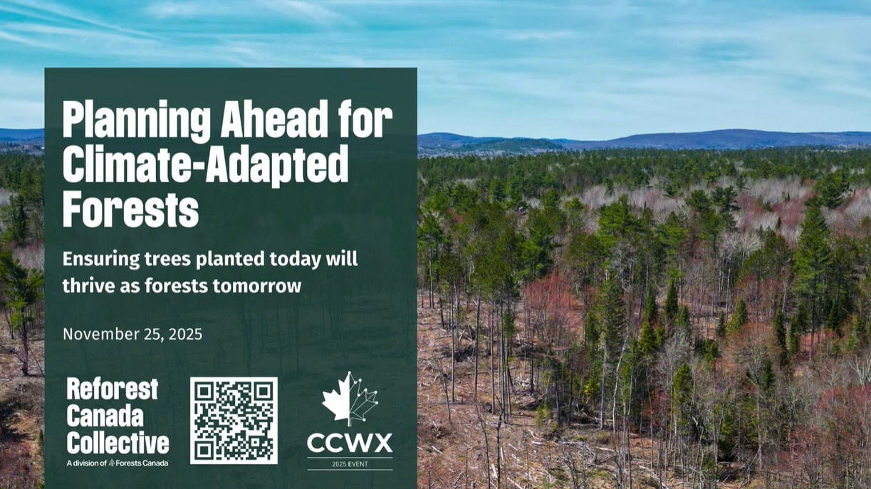 Webinar welcome screen