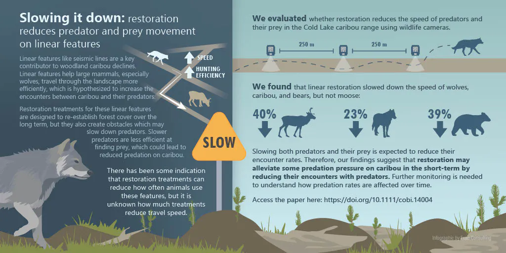 Graphical abstract from Dickie et al. (2022)