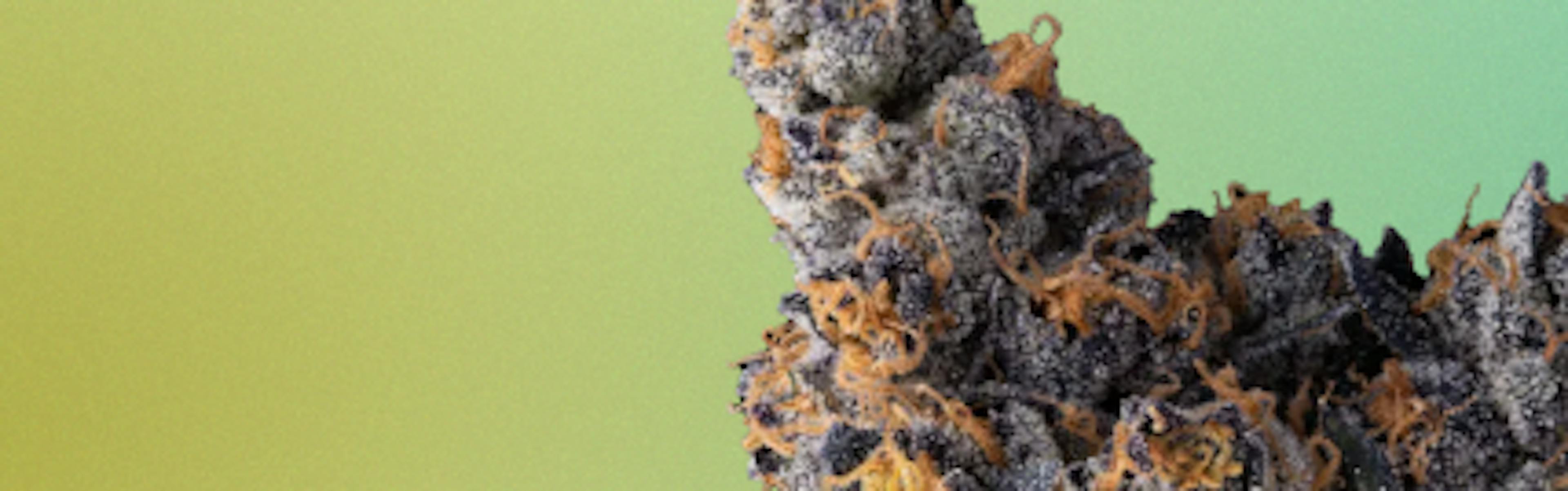 dank cannabis bud with a green background