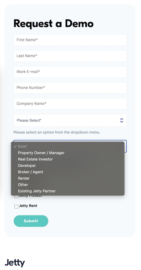 Jetty form - inputs