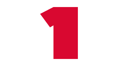 Verstappen (1)