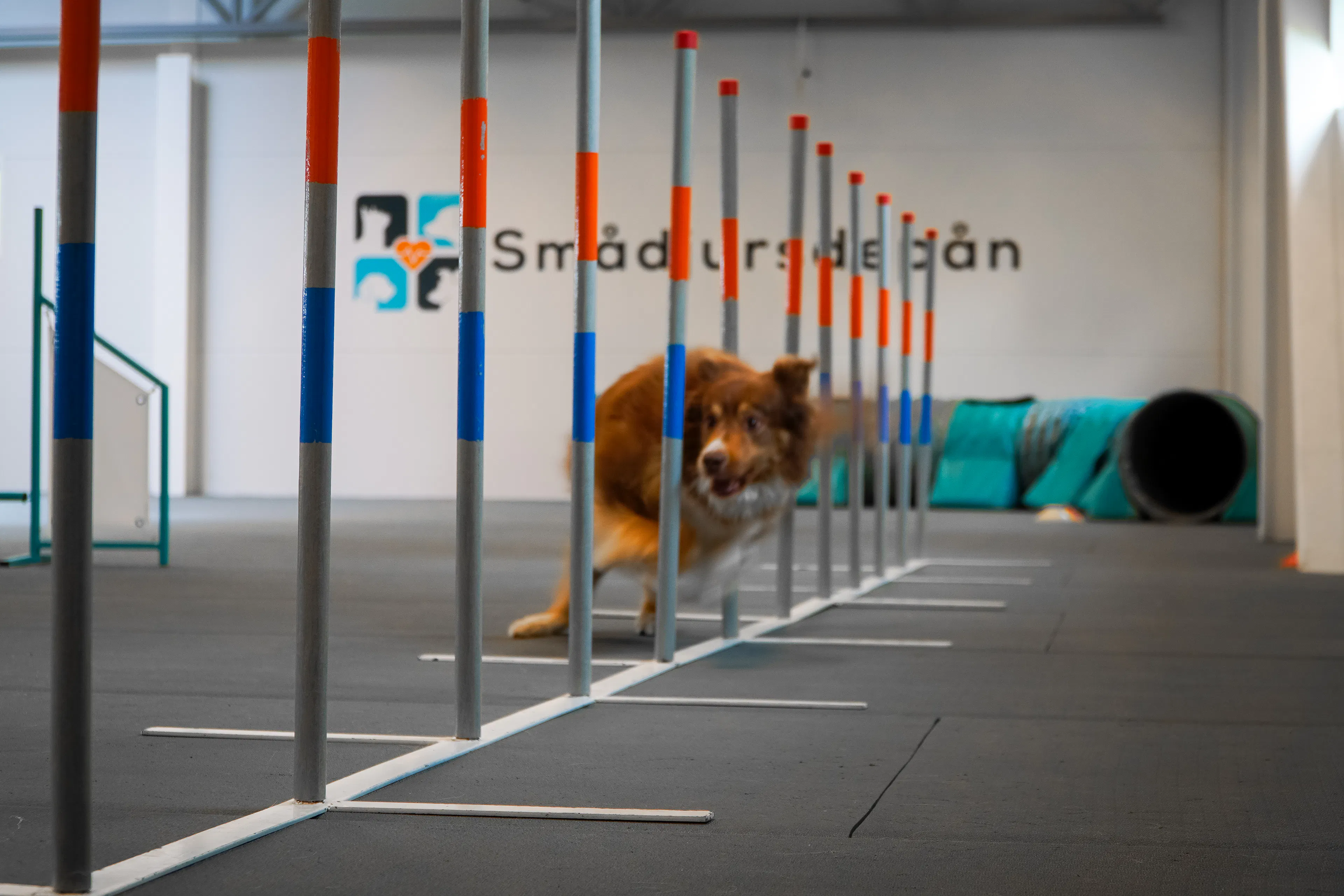 Komplett leverans bild 1