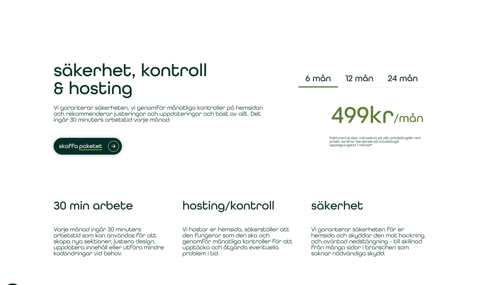 Support och underhåll för företagets hemsida.