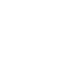 Mailchimp icon