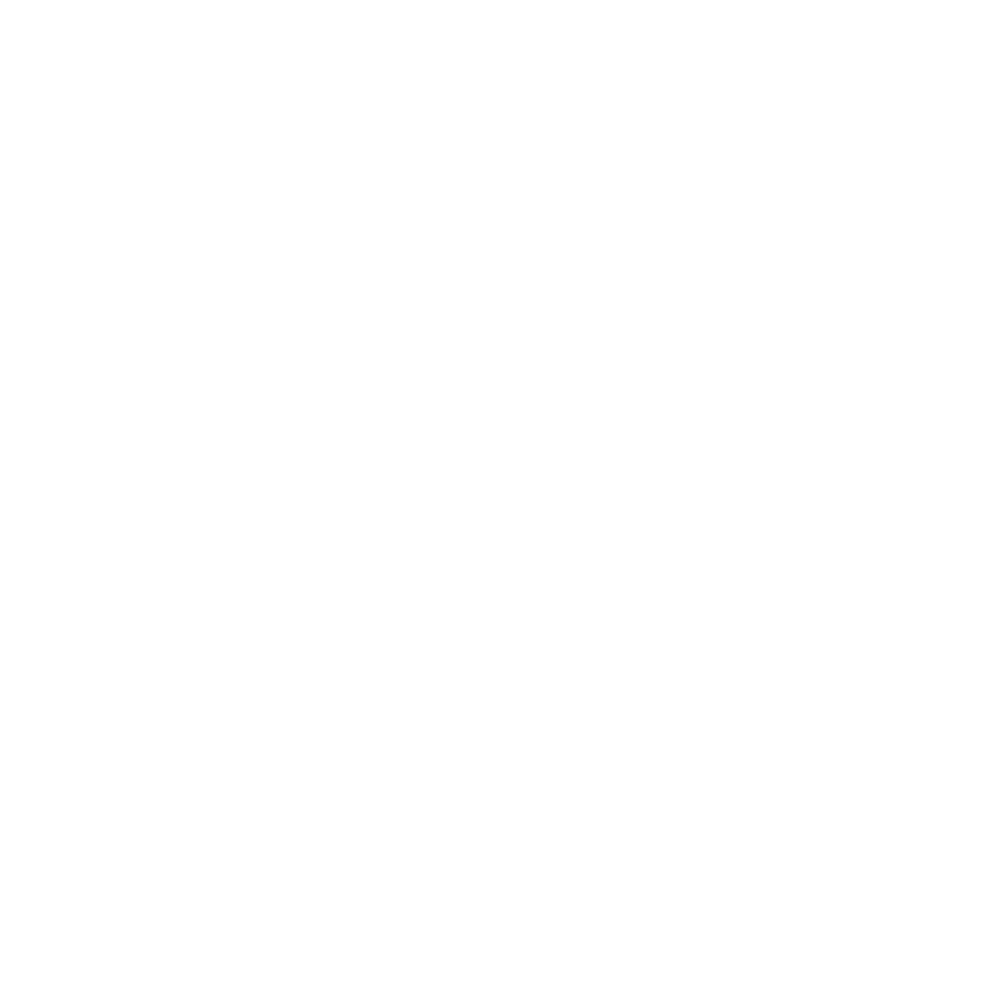 Adobe InDesign icon