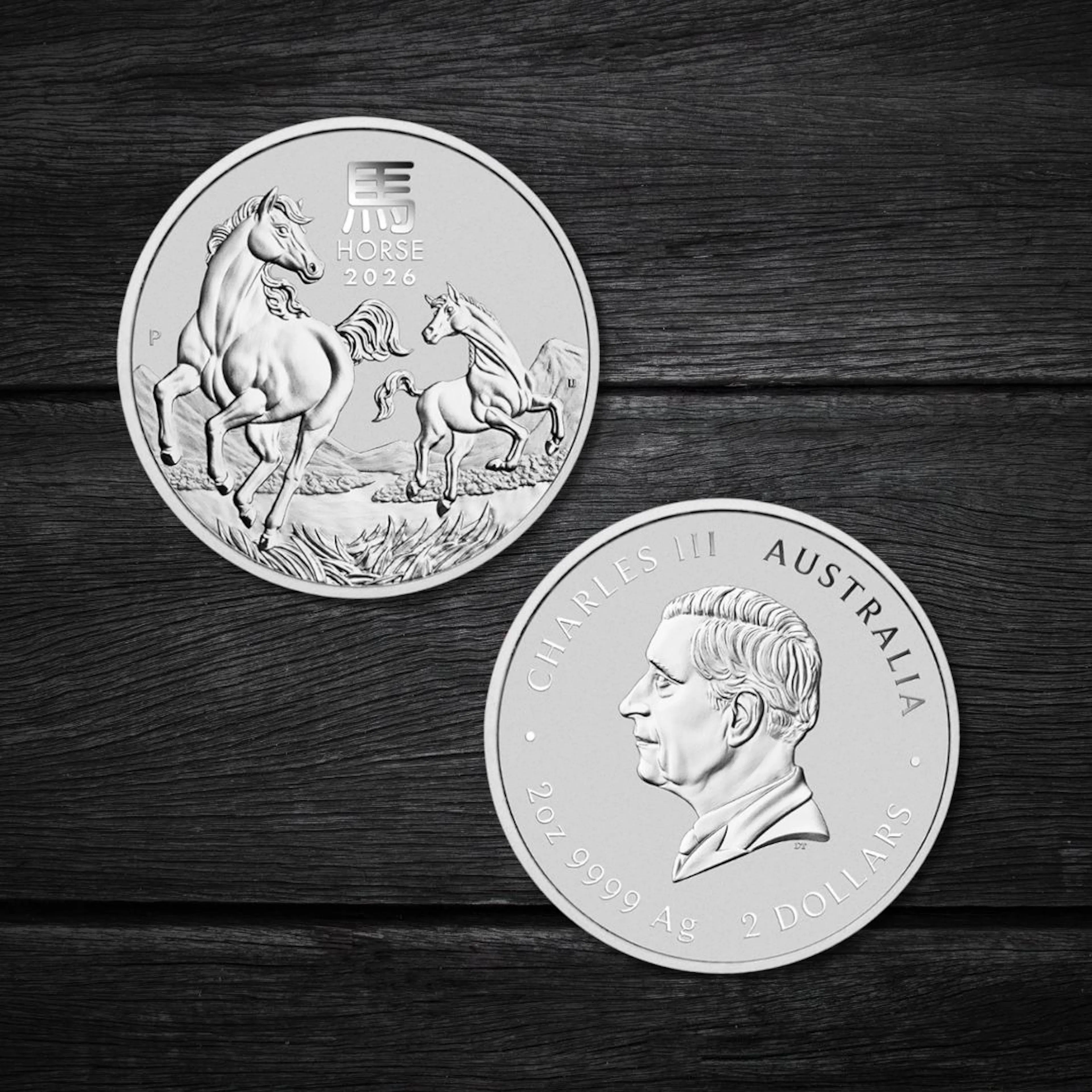2oz silver coin