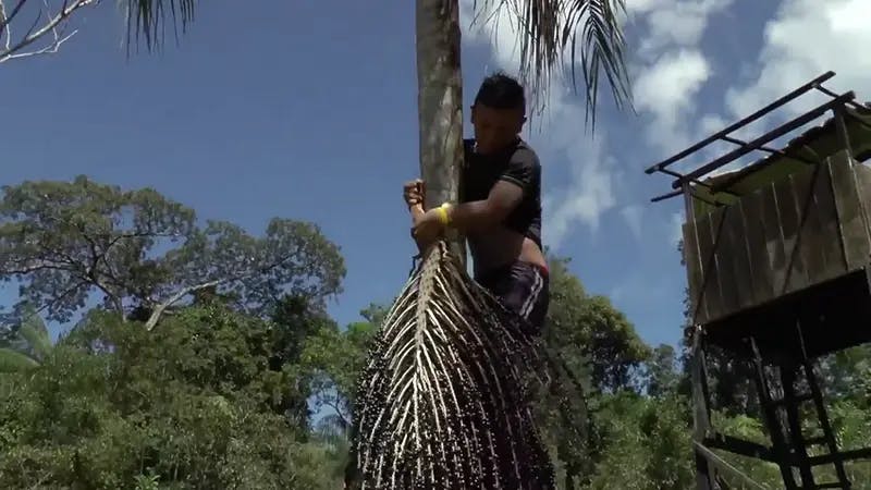 Primeira Oficina de Vídeo